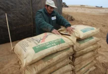 Midagri distribuirá 14,765 toneladas de guano de islas a precio social para beneficiar a más de 13,000 familias