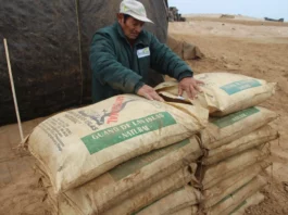 Midagri distribuirá 14,765 toneladas de guano de islas a precio social para beneficiar a más de 13,000 familias