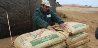 Midagri distribuirá 14,765 toneladas de guano de islas a precio social para beneficiar a más de 13,000 familias