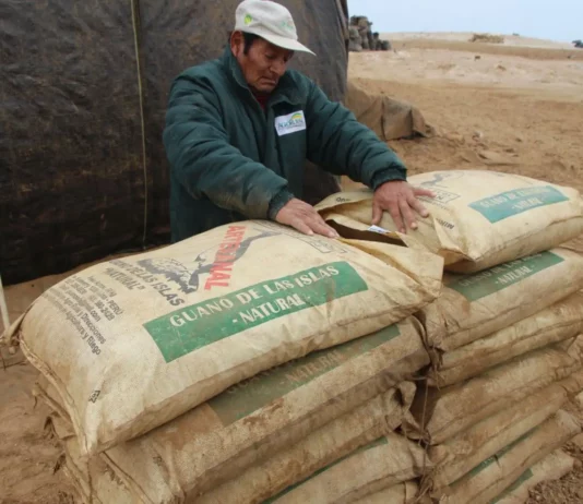 Midagri distribuirá 14,765 toneladas de guano de islas a precio social para beneficiar a más de 13,000 familias