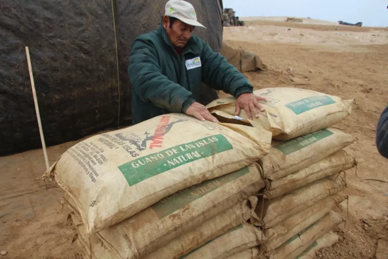 Midagri distribuirá 14,765 toneladas de guano de islas a precio social para beneficiar a más de 13,000 familias