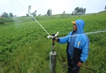 Gobierno aprueba reglamento de la Ley de Riego Tecnificado para modernizar la agricultura Gobierno aprueba reglamento de la Ley de Riego Tecnificado para modernizar la agricultura