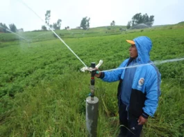 Gobierno aprueba reglamento de la Ley de Riego Tecnificado para modernizar la agricultura Gobierno aprueba reglamento de la Ley de Riego Tecnificado para modernizar la agricultura