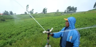 Gobierno aprueba reglamento de la Ley de Riego Tecnificado para modernizar la agricultura Gobierno aprueba reglamento de la Ley de Riego Tecnificado para modernizar la agricultura