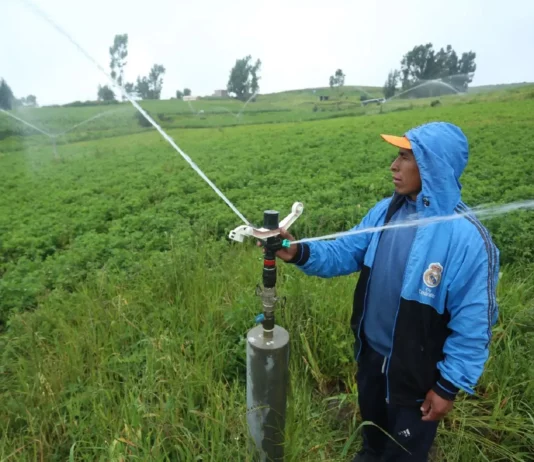 Gobierno aprueba reglamento de la Ley de Riego Tecnificado para modernizar la agricultura Gobierno aprueba reglamento de la Ley de Riego Tecnificado para modernizar la agricultura