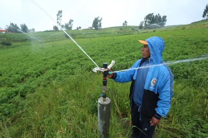 Gobierno aprueba reglamento de la Ley de Riego Tecnificado para modernizar la agricultura