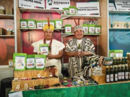 Rueda de Negocios en Madre de Dios conectará a productores amazónicos con empresas nacionales Rueda de Negocios en Madre de Dios conectará a productores amazónicos con empresas nacionales