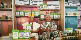 Rueda de Negocios en Madre de Dios conectará a productores amazónicos con empresas nacionales Rueda de Negocios en Madre de Dios conectará a productores amazónicos con empresas nacionales
