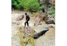 Lluvias en Amazonas provocan inundación de cultivos en Tupén Grande y afectan a familias agricultoras Lluvias en Amazonas provocan inundación de cultivos en Tupén Grande y afectan a familias agricultoras