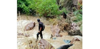 Lluvias en Amazonas provocan inundación de cultivos en Tupén Grande y afectan a familias agricultoras Lluvias en Amazonas provocan inundación de cultivos en Tupén Grande y afectan a familias agricultoras