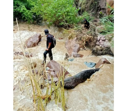 Lluvias en Amazonas provocan inundación de cultivos en Tupén Grande y afectan a familias agricultoras Lluvias en Amazonas provocan inundación de cultivos en Tupén Grande y afectan a familias agricultoras