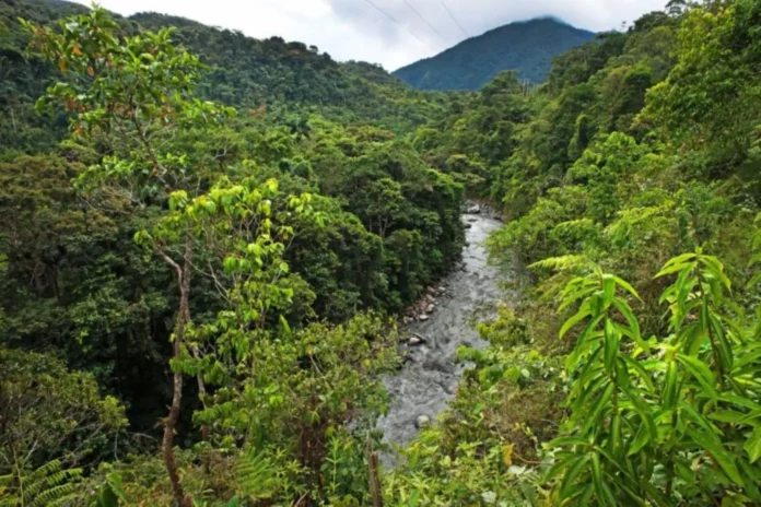 Perú recibirá 25 millones de euros de Alemania para conservar Áreas Naturales Protegidas de la Amazonía Perú recibirá 25 millones de euros de Alemania para conservar Áreas Naturales Protegidas de la Amazonía