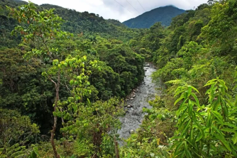 Perú recibirá 25 millones de euros de Alemania para conservar Áreas Naturales Protegidas de la Amazonía