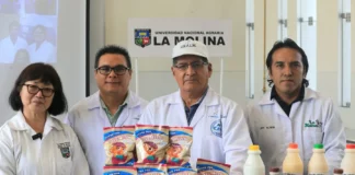 Investigadores peruanos crean alimentos nutritivos a a base de pota y granos andinos sin sellos de advertencia Investigadores peruanos crean alimentos nutritivos a base de pota y granos andinos sin sellos de advertencia