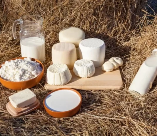 Piura produjo más de 51 millones de litros de leche y registró 208,000 vacunos en 2025 Piura produjo más de 51 millones de litros de leche y registró 208,000 vacunos en 2025