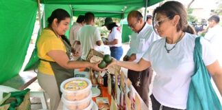 Feria agroecológica en Piura reunirá productos saludables y emprendimientos locales Feria agroecológica en Piura reunirá productos saludables y emprendimientos locales