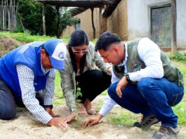 Capacitan a ganaderos de Suyo para enfrentar degradación del bosque seco Capacitan a ganaderos de Suyo para enfrentar degradación del bosque seco