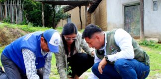 Capacitan a ganaderos de Suyo para enfrentar degradación del bosque seco Capacitan a ganaderos de Suyo para enfrentar degradación del bosque seco