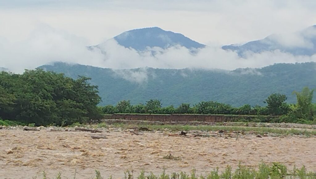 Agroexportación en riesgo: Piura toma acciones frente a intensas precipitaciones Agroexportación en riesgo: Piura toma acciones frente a intensas precipitaciones