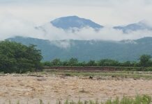 Agroexportación en riesgo: Piura toma acciones frente a intensas precipitaciones Agroexportación en riesgo: Piura toma acciones frente a intensas precipitaciones