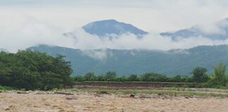 Agroexportación en riesgo: Piura toma acciones frente a intensas precipitaciones Agroexportación en riesgo: Piura toma acciones frente a intensas precipitaciones