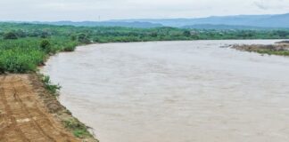 Tumbes: Intensifican acciones para proteger cultivos y viviendas ante lluvias Tumbes: Intensifican acciones para proteger cultivos y viviendas ante lluvias