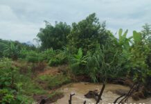 Piura: empadronan a 52 agricultores de Huarmaca para activar Seguro Agrario Catastrófico Piura: empadronan a 52 agricultores de Huarmaca para activar Seguro Agrario Catastrófico