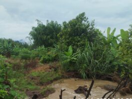 Piura: empadronan a 52 agricultores de Huarmaca para activar Seguro Agrario Catastrófico Piura: empadronan a 52 agricultores de Huarmaca para activar Seguro Agrario Catastrófico