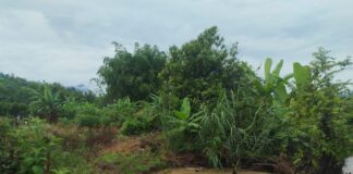 Piura: empadronan a 52 agricultores de Huarmaca para activar Seguro Agrario Catastrófico Piura: empadronan a 52 agricultores de Huarmaca para activar Seguro Agrario Catastrófico