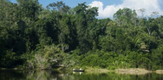 El 96 % de las Áreas Naturales Protegidas del Perú se mantiene en buen estado de conservación El 96 % de las Áreas Naturales Protegidas del Perú se mantiene en buen estado de conservación