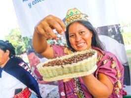 Midagri: Más de 956 mil mujeres participan en la producción agropecuaria del Perú Midagri: Más de 956 mil mujeres participan en la producción agraria del Perú