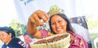 Midagri: Más de 956 mil mujeres participan en la producción agropecuaria del Perú Midagri: Más de 956 mil mujeres participan en la producción agraria del Perú