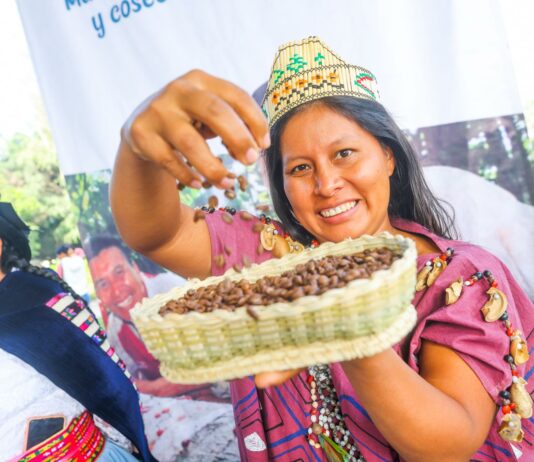 Midagri: Más de 956 mil mujeres participan en la producción agropecuaria del Perú Midagri: Más de 956 mil mujeres participan en la producción agraria del Perú