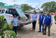 Vivero municipal de Cura Mori recibe semillas de algarrobo para programas de reforestación Vivero municipal de Cura Mori recibe semillas de algarrobo para programas de reforestación