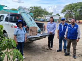 Vivero municipal de Cura Mori recibe semillas de algarrobo para programas de reforestación Vivero municipal de Cura Mori recibe semillas de algarrobo para programas de reforestación
