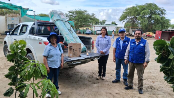 Vivero municipal de Cura Mori recibe semillas de algarrobo para programas de reforestación