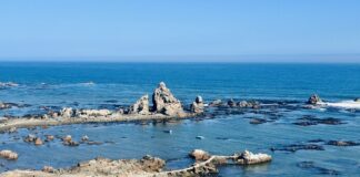 Planes de manejo marino-costero buscan proteger ecosistemas y promover pesca responsable Planes de manejo marino-costero buscan proteger ecosistemas y promover pesca responsable