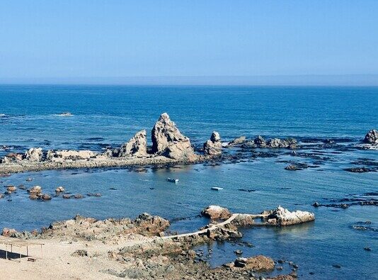 Planes de manejo marino-costero buscan proteger ecosistemas y promover pesca responsable Planes de manejo marino-costero buscan proteger ecosistemas y promover pesca responsable