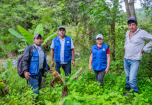 Piura: Proyecto agrícola en Frías promoverá producción de plantones de palto, cítricos y maracuyá Proyecto agrícola en Frías promoverá producción de plantones de palto, cítricos y maracuyá