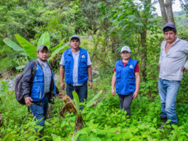 Piura: Proyecto agrícola en Frías promoverá producción de plantones de palto, cítricos y maracuyá Proyecto agrícola en Frías promoverá producción de plantones de palto, cítricos y maracuyá