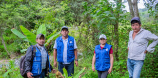 Piura: Proyecto agrícola en Frías promoverá producción de plantones de palto, cítricos y maracuyá Proyecto agrícola en Frías promoverá producción de plantones de palto, cítricos y maracuyá
