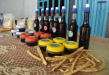 Piura inicia la Semana de la Algarrobina con actividades sobre el aprovechamiento del algarrobo Piura inicia la Semana de la Algarrobina con actividades sobre el aprovechamiento del algarrobo