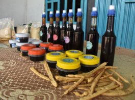 Piura inicia la Semana de la Algarrobina con actividades sobre el aprovechamiento del algarrobo Piura inicia la Semana de la Algarrobina con actividades sobre el aprovechamiento del algarrobo