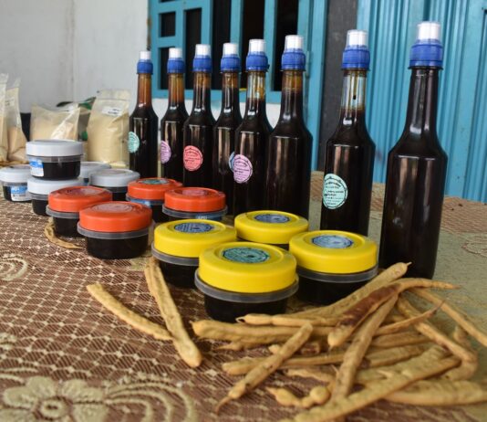 Piura inicia la Semana de la Algarrobina con actividades sobre el aprovechamiento del algarrobo Piura inicia la Semana de la Algarrobina con actividades sobre el aprovechamiento del algarrobo