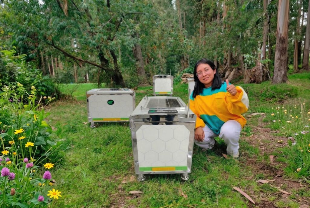 Startup peruana desarrolla colmenas inteligentes para mejorar la polinización y productividad agrícola Startup peruana desarrolla colmenas inteligentes para mejorar la polinización y productividad agrícola