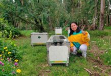 Startup peruana desarrolla colmenas inteligentes para mejorar la polinización y productividad agrícola Startup peruana desarrolla colmenas inteligentes para mejorar la polinización y productividad agrícola