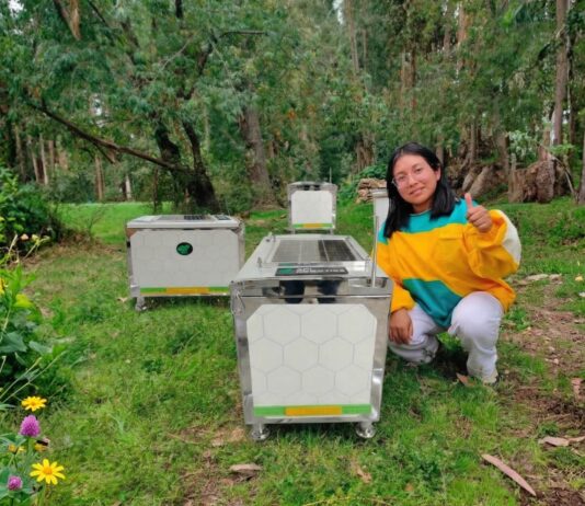 Startup peruana desarrolla colmenas inteligentes para mejorar la polinización y productividad agrícola Startup peruana desarrolla colmenas inteligentes para mejorar la polinización y productividad agrícola