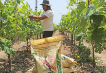 Agro Rural proyecta beneficiar a más de 175,000 productores agrarios en 23 regiones del Perú en 2026 Agro Rural proyecta beneficiar a más de 175,000 productores agrarios en 23 regiones del Perú en 2026