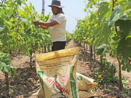 Agro Rural proyecta beneficiar a más de 175,000 productores agrarios en 23 regiones del Perú en 2026 Agro Rural proyecta beneficiar a más de 175,000 productores agrarios en 23 regiones del Perú en 2026
