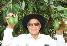 Cumplimiento de estándares de inocuidad consolida presencia de agroexportaciones peruanas en el mercado europeo Cumplimiento de estándares de inocuidad consolida presencia de agroexportaciones peruanas en el mercado europeo